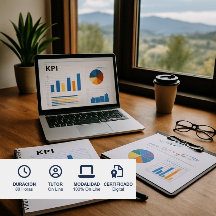 Curso de Indicadores de Gestión y KPI